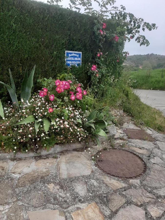 Casa La Hayuela Molleda Villa Kültér fotó